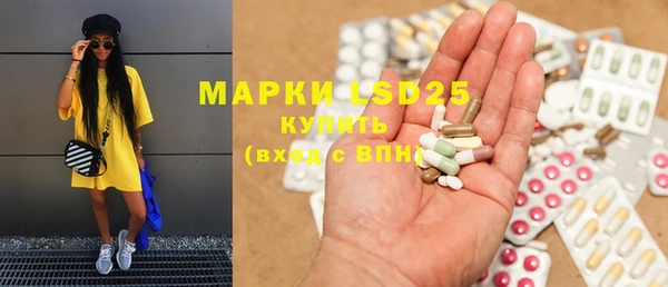 индика Алексеевка