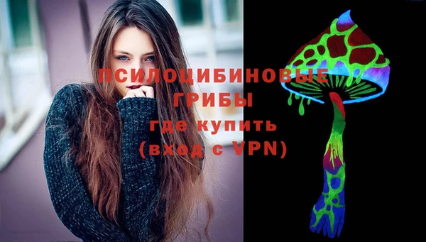 индика Алексеевка