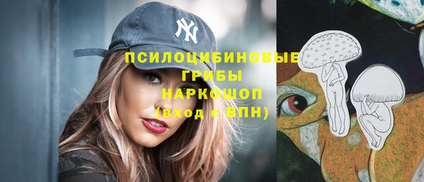 индика Алексеевка