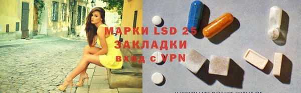 индика Алексеевка