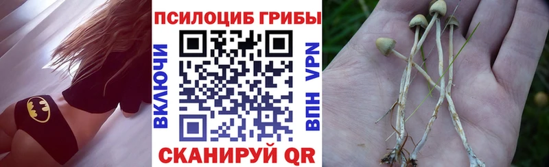 Псилоцибиновые грибы Psilocybine cubensis  Лаишево 